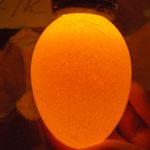Как анализировать проблемы с выводимостью инкубируемых яиц?